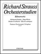 ORCHESTRAL STUDIES PERCUSSION cover